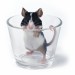 another____glass_of____mouse_by_Emielcia.jpg